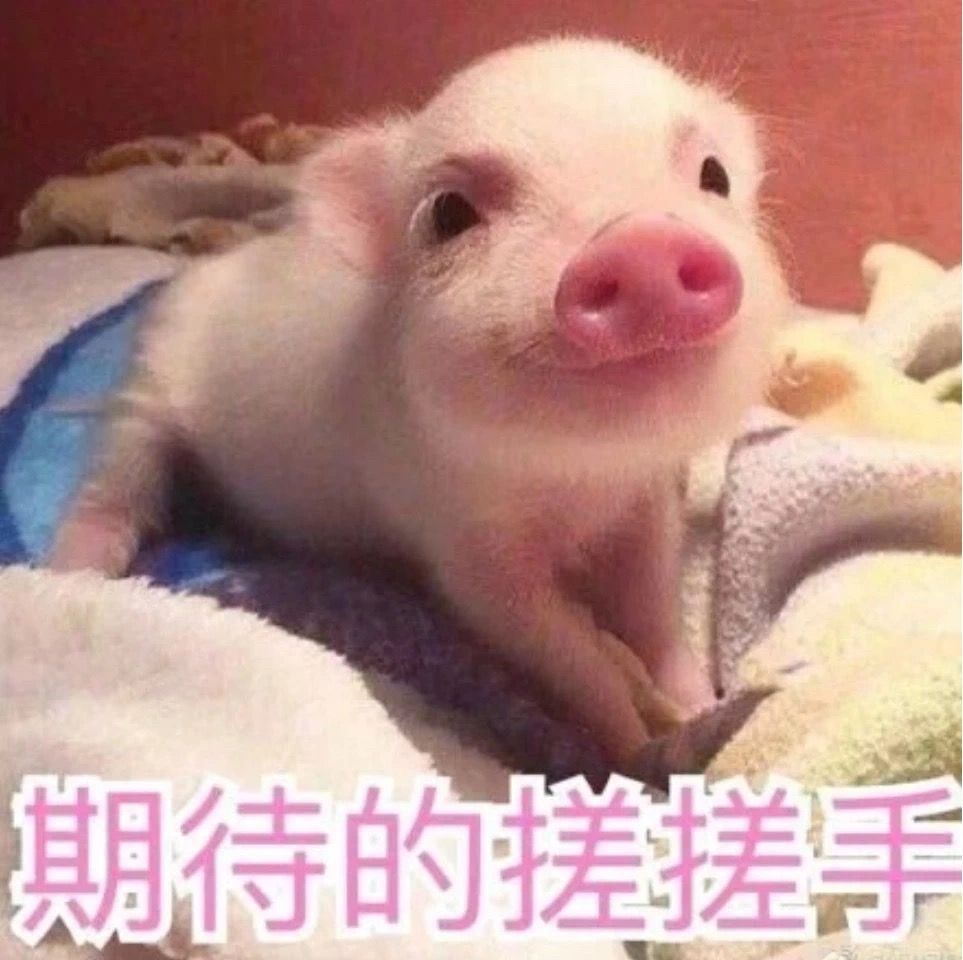 乐橙国际·lc8(中国游)官方网站